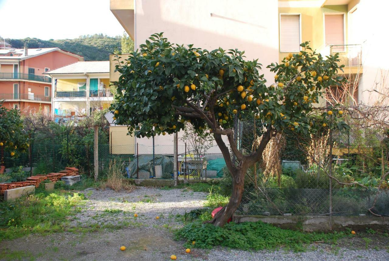 Palmaria Apartment Deiva Marina Exterior photo